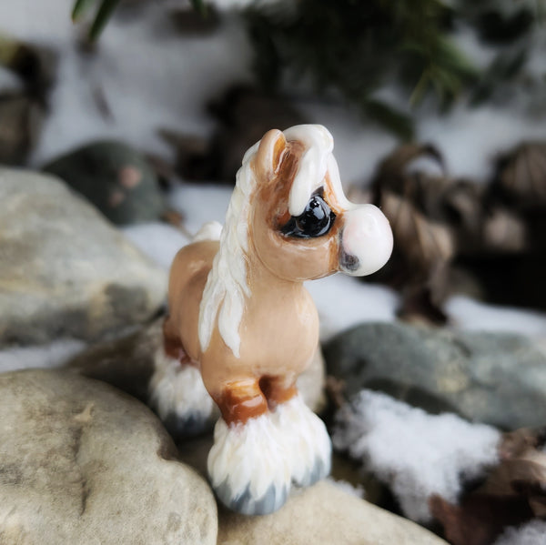 Pony