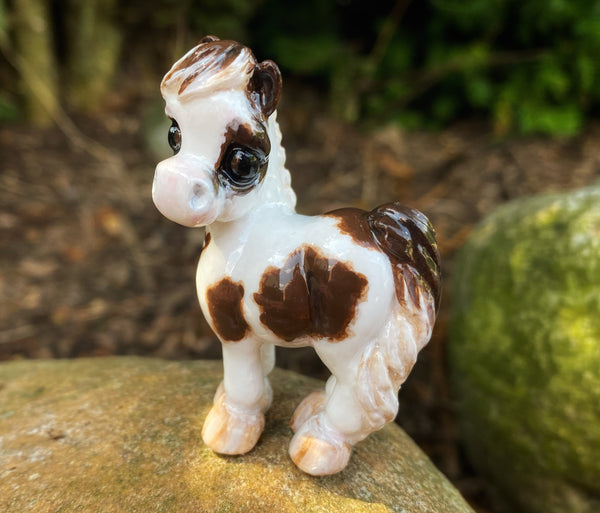 Pinto with Braided Mane