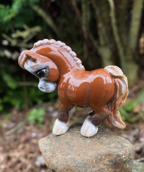 Pony chestnut