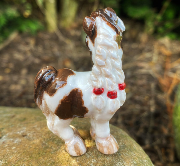 Pinto with Braided Mane